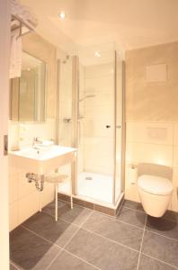 a bathroom with a shower and a sink and a toilet at Hotel zur Schloß-Schenke in Neuwied
