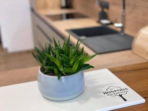 Fotografie z fotogalerie ubytování Penzion Pod Kaštanem v destinaci Nedakonitz + 27 fotografií