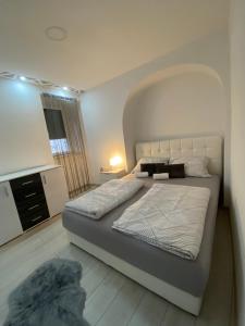a bedroom with a bed and a dog laying on the floor at Apartment Carpe Diem in Koper +14 photos