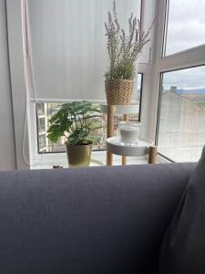 A seating area at OKTHEWAY Castelao Street