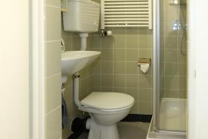 ein Bad mit einem WC und einem Waschbecken in der Unterkunft Luna in Thun