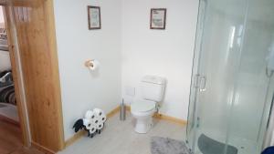 a bathroom with a toilet and a glass shower at The Uyeasound Old Pier Cottage in Belmont