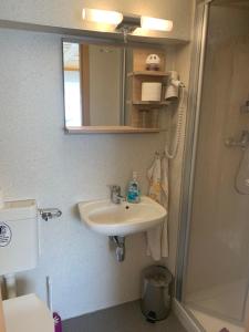 a bathroom with a sink and a shower and a mirror at Zimmervermietung Lippmann in Großhartmannsdorf