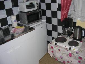 a small kitchen with a stove and a microwave at Kleines Appartment zentrale Lage in Künzell