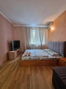 1 dormitorio con 1 cama grande y TV en Апартаменты в центре на Гагарина, en Dnipro