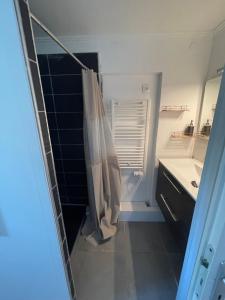 uma casa de banho com uma cortina de chuveiro e um lavatório em Charmant deux pièces dans maison em Roquebrune-Cap-Martin