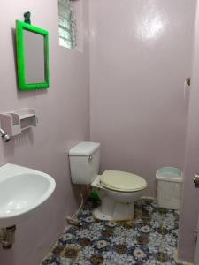 a bathroom with a toilet and a sink and a mirror at Hideaway Resort in Maraat