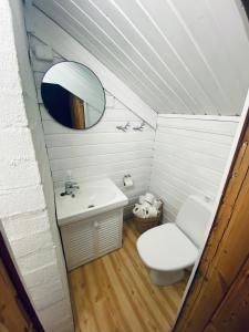 Vonios kambarys apgyvendinimo įstaigoje Liirakka Levi