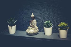 Foto sihtkohas Boneffe asuva majutusasutuse Le Temple d'Opaline galeriist