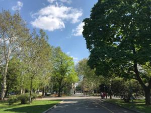 Fotografie z fotogalerie ubytování Cosy inner city getaway Bestern v destinaci Szeged