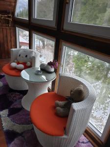 um quarto com duas cadeiras e uma mesa com um ursinho de peluche em Camere LUX Telecabina Busteni em Buşteni