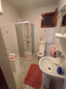 a bathroom with a sink and a shower and a toilet at Kuća za odmor Zdravka in Blato