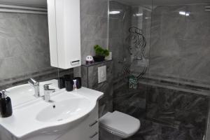 a bathroom with a sink and a shower and a toilet at Apartma VRBA in Dobrna