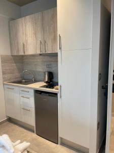 A kitchen or kitchenette at Anastasia Boutique Suites -Adults only & kids 12 plus