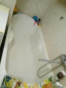 Una bañera blanca con un pájaro sentado encima. en министудия, в которой есть абсолютно всё, en Cherníhiv