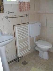 BotizaにあるPensiunea Grosanのバスルーム(トイレ、洗面台付)