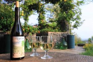 Una botella de vino y dos copas en una mesa. en Alberto's Mt.Etna B&B, en Zafferana Etnea