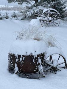 un tracteur enneigé avec une plante dans la neige dans l'établissement Käänu puhkemaja, à Rakvere