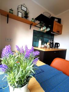 Kuchyňa alebo kuchynka v ubytovaní APARTAMENT NA WZGÓRZU