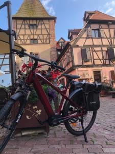 Montar en bicicleta en Hotel Arc-En-Ciel Colmar Contact Hotel o alrededores