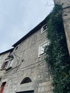 ein Steingebäude mit Efeu, der seitlich wächst in der Unterkunft Appartamento con cortile privato e splendida vista in Viterbo