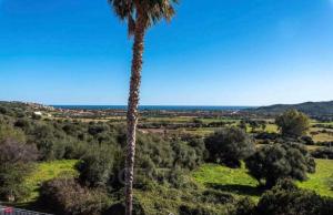 Gallery image of Villetta L'affaccio sul mare in Budoni