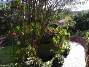 Zahrada ubytování Pousada Solar das Flores Maringá RJ Visconde de Mauá