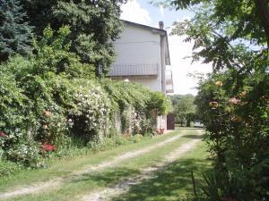 a path leading to a house with bushes and flowers at Terrasanta in Santa Fiora