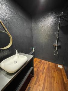 W łazience znajduje się umywalka i prysznic. w obiekcie Chez Cathy et Léo w mieście Dinan