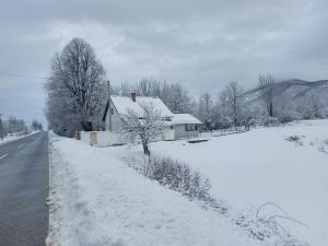 una casa está cubierta de nieve junto a una carretera en Holiday Home Jurin Raj, en Lovinac