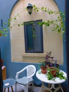 Aed väljaspool majutusasutust Cittadella b&b