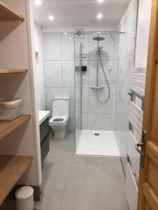 La salle de bains est pourvue d'une douche et de toilettes. dans l'établissement Allemond - Restful 2 bed apartment for ski, cycle & family, à Allemont