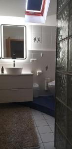 ein Badezimmer mit einem Waschbecken, einem WC und einem Spiegel in der Unterkunft Maisonette-Ferienzimmer Am Backhausgarten in Flonheim