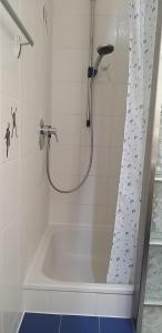 eine Dusche im Bad mit Badewanne in der Unterkunft Maisonette-Ferienzimmer Am Backhausgarten in Flonheim