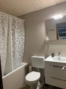 a bathroom with a toilet and a shower curtain at 2,5 pièces à Haute-Nendaz, grande terrasse, piscine, sauna, tennis in Nendaz