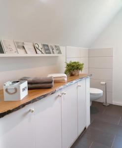 een witte badkamer met een toilet en een wastafel bij Ferienhaus BB2 in Bad Brambach