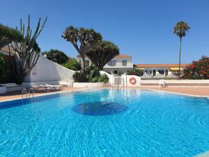 a large blue swimming pool with palm trees and a house at Teide & Mar Vistas in Tacoronte