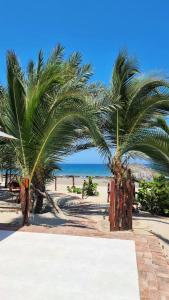 a couple of palm trees on a beach at Punta del Norte Bungalows in Canoas de Punta Sal