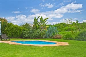 a swimming pool in the middle of a yard at River Bend Lodge in Addo