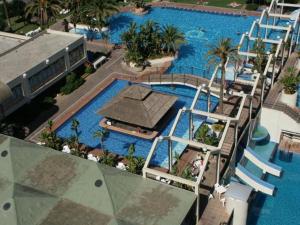 uitzicht op een groot zwembad met palmbomen bij penthouse benal beach in Benalmádena