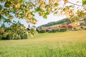 un campo de hierba con una casa en el fondo en Alpengasthof Moser, en Karchau