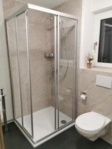 a shower stall in a bathroom with a toilet at Studio Rämschfädra in Sankt Niklaus