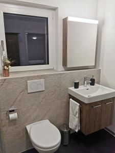 a bathroom with a toilet and a sink and a mirror at Studio Rämschfädra in Sankt Niklaus