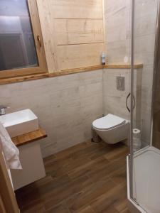 a bathroom with a toilet and a sink and a shower at Domki Widokowe Panorama Tatr in Biały Dunajec