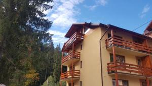 - un bâtiment avec des balcons en bois sur le côté dans l'établissement Kalinderu luxury ski loft, à Buşteni