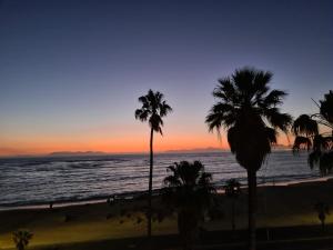 een zonsondergang op het strand met palmbomen bij Ashley on Beach in Strand