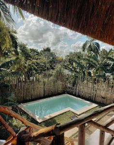 een klein zwembad midden in een tuin bij Hotel Xa´an Bacalar in Bacalar