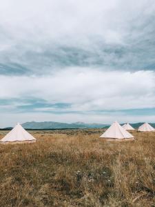 a group of three tents in a field at Wander Camp Yellowstone in Island Park