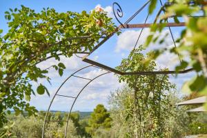 A garden outside Fattoria La Loggia