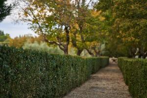 A garden outside Fattoria La Loggia